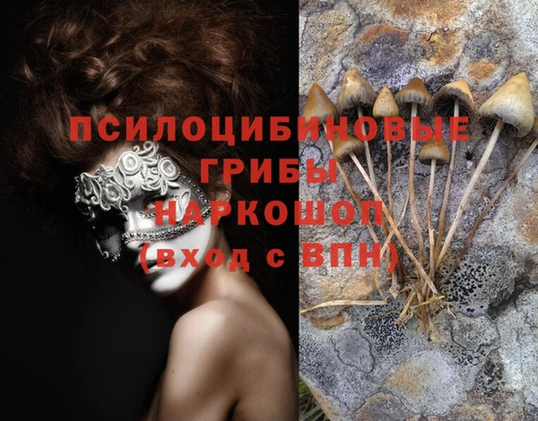 шишки Тихвин